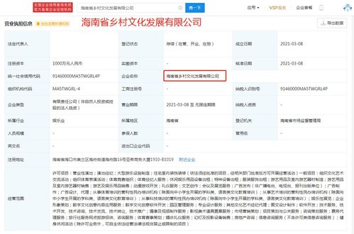 數字文化創意賦能鄉村振興 企業布局風口與特批字號的戰略機遇